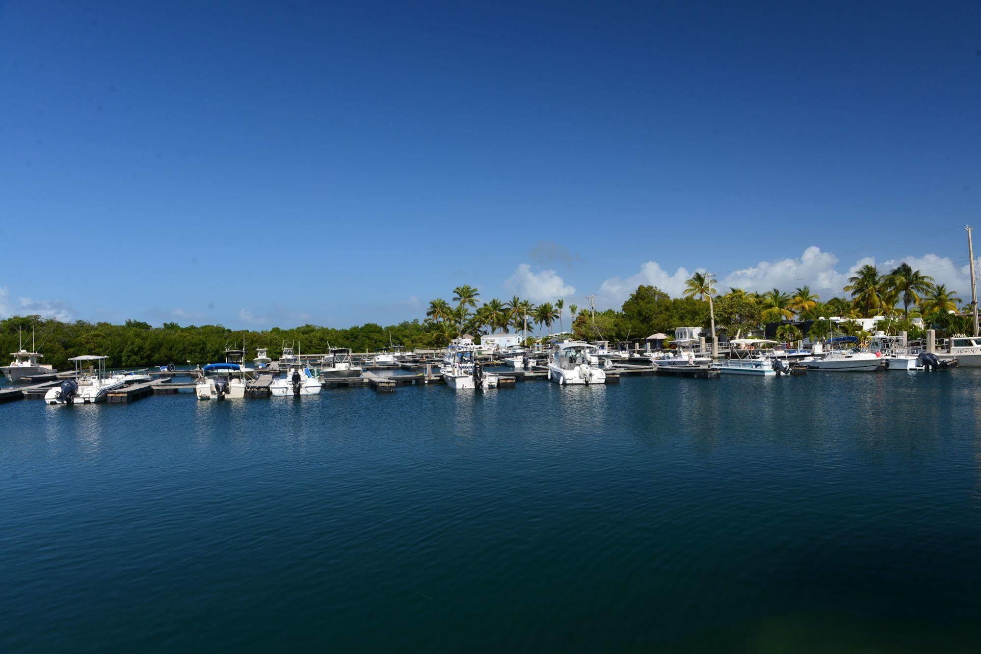 Sunshine Key Rv Resort & Marina Big Pine Key Esterno foto
